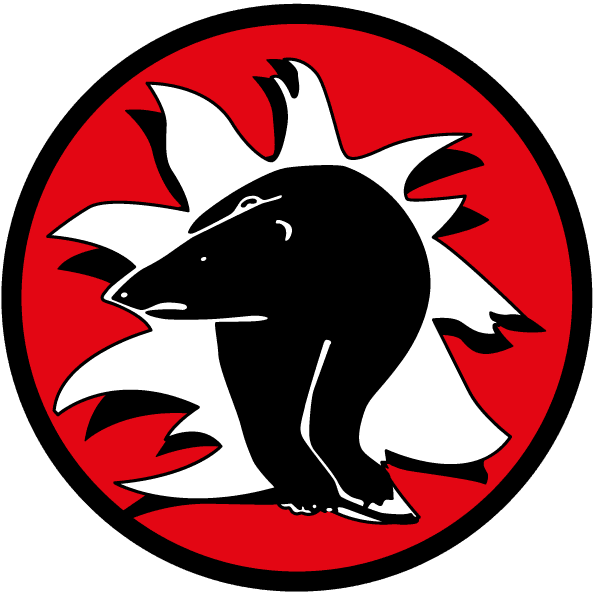 Hyvinkään Jää-Ahmat seuran logo